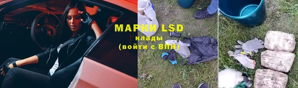 прущие грибы Белоозёрский