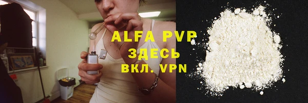прущие грибы Белоозёрский