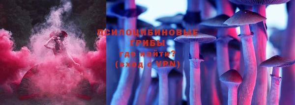 прущие грибы Белоозёрский