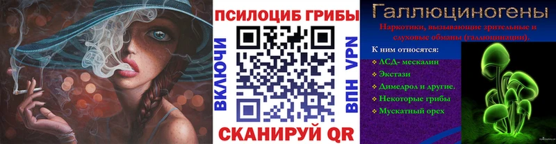 купить наркоту  darknet наркотические препараты  Галлюциногенные грибы мухоморы  Торопец 